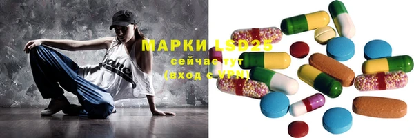 стаф Абинск