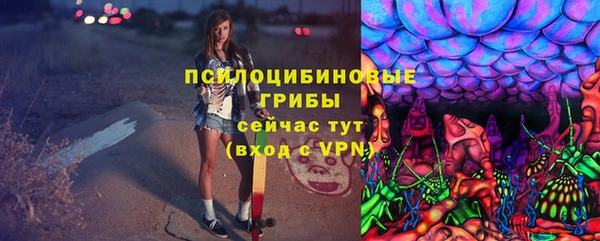 стаф Абинск