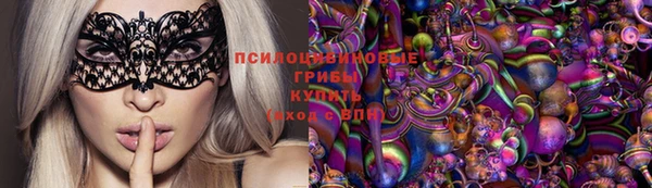 стаф Абинск
